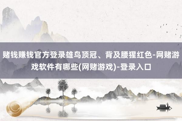 赌钱赚钱官方登录雄鸟顶冠、背及腰猩红色-网赌游戏软件有哪些(网赌游戏)-登录入口