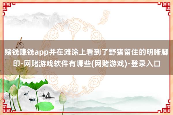 赌钱赚钱app并在滩涂上看到了野猪留住的明晰脚印-网赌游戏软件有哪些(网赌游戏)-登录入口