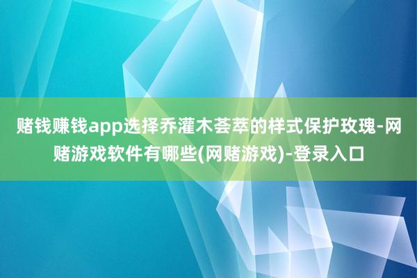 赌钱赚钱app选择乔灌木荟萃的样式保护玫瑰-网赌游戏软件有哪些(网赌游戏)-登录入口